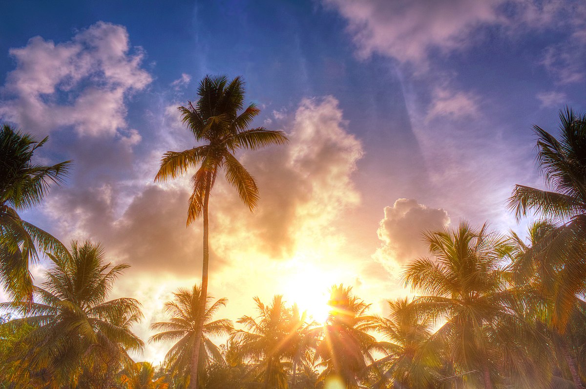 The feels-like temperature in Kerala has risen, leading to an increase in the heat index and a heat wave