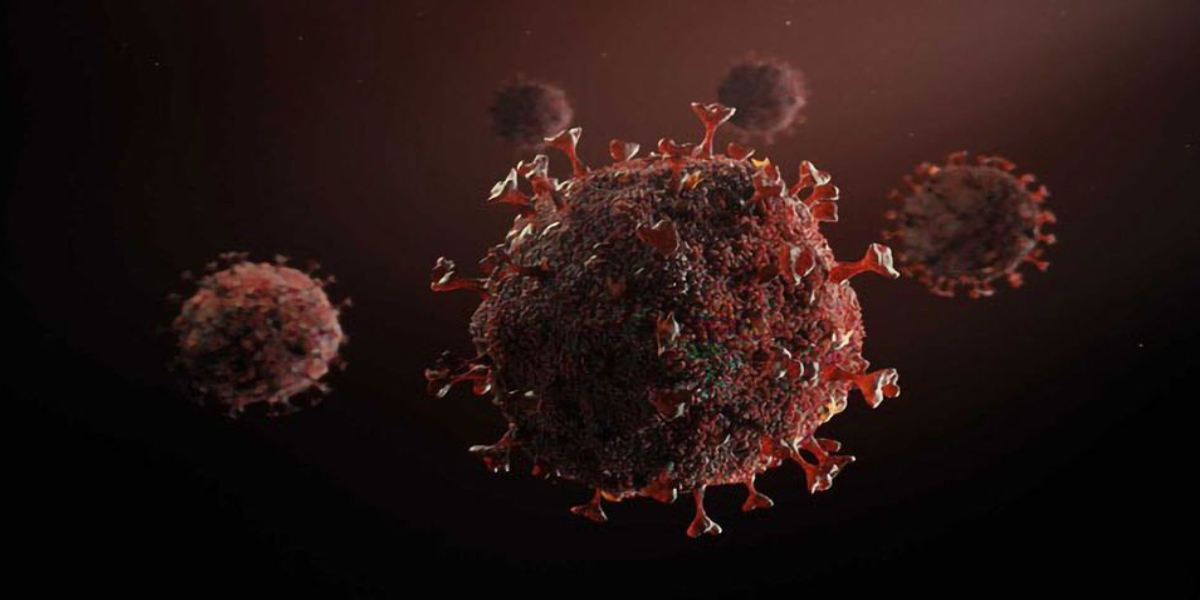 30 cases of XBB 1.16 variant of Covid-19 in Karnataka, 2 in Telangana