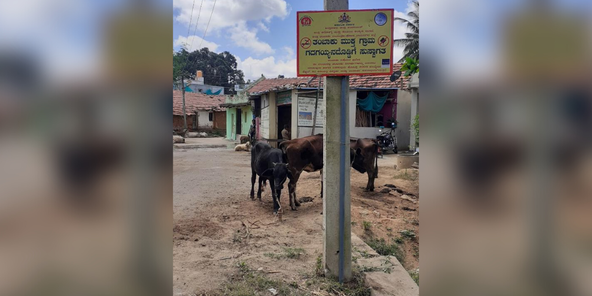 Tobacco free village National Tobacco Control Program was successfully implemented in Sugganahalli village panchayat of Ramanagara taluk and district, which was appreciated at Mantana 2023. (Supplied)