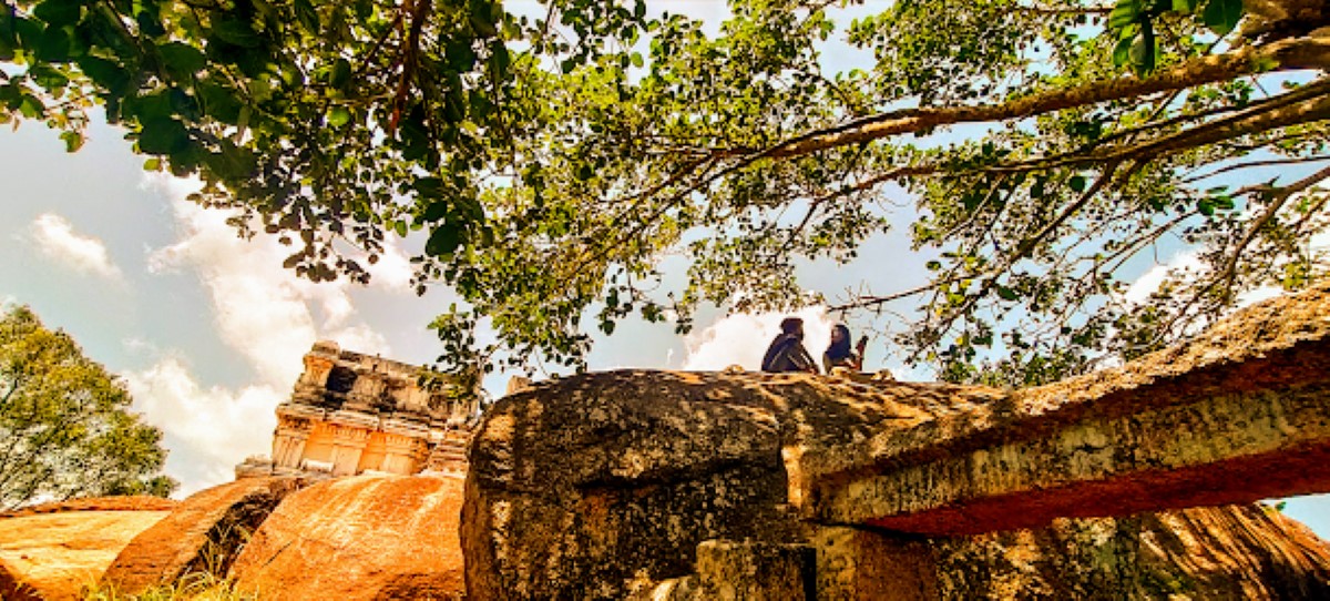 An unusually hot summer in 2023 due to the El Nino effect in India and elsewhere