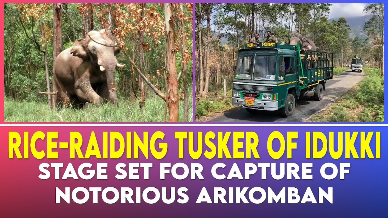 Operation Arikomban