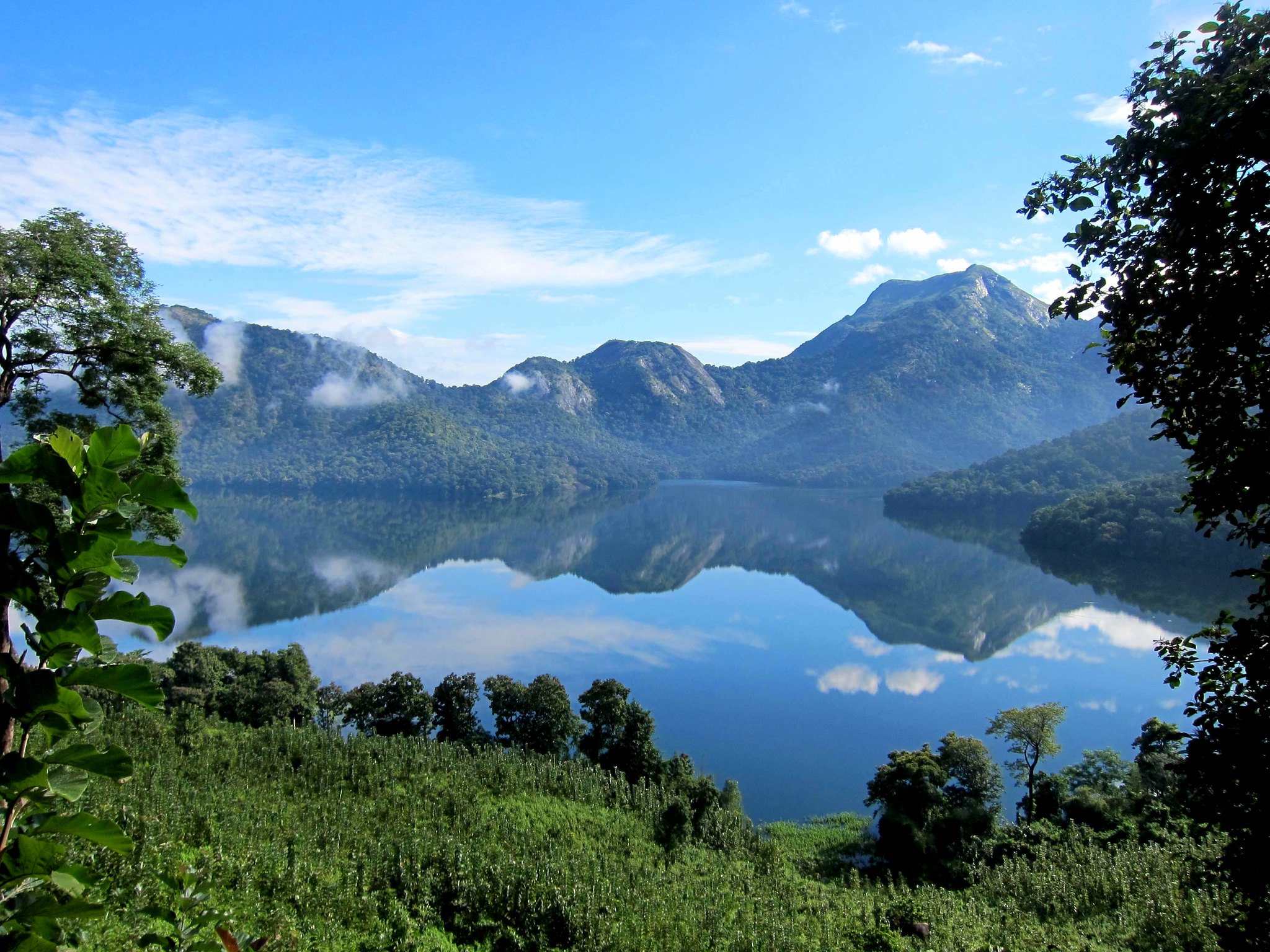 Nelliyampathy hills Kerala