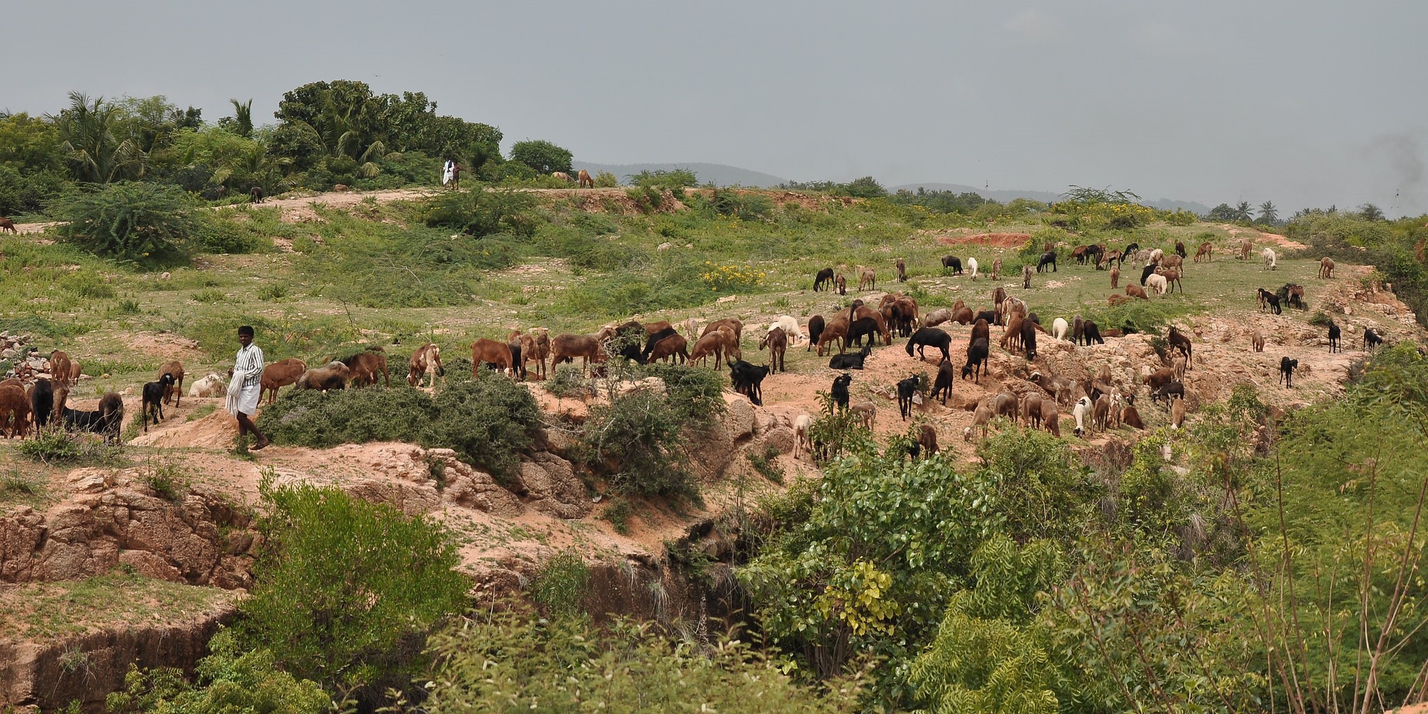 Hakku Patras Karnataka