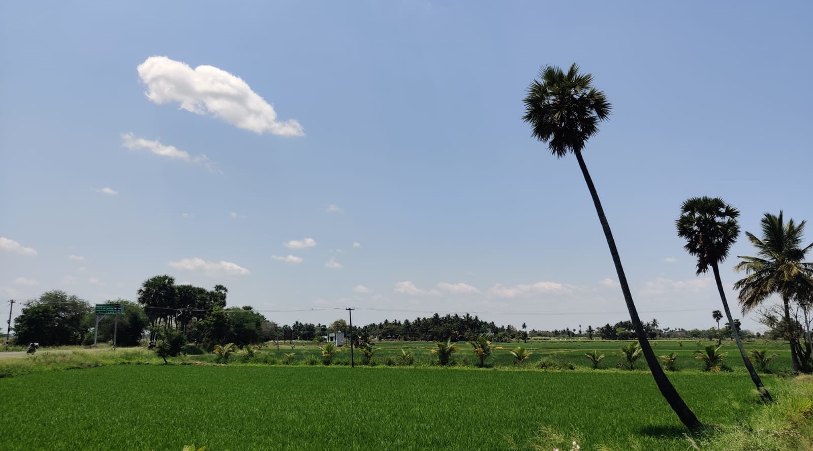Vadaseri Tamil Nadu coal mining Cauvery delta region
