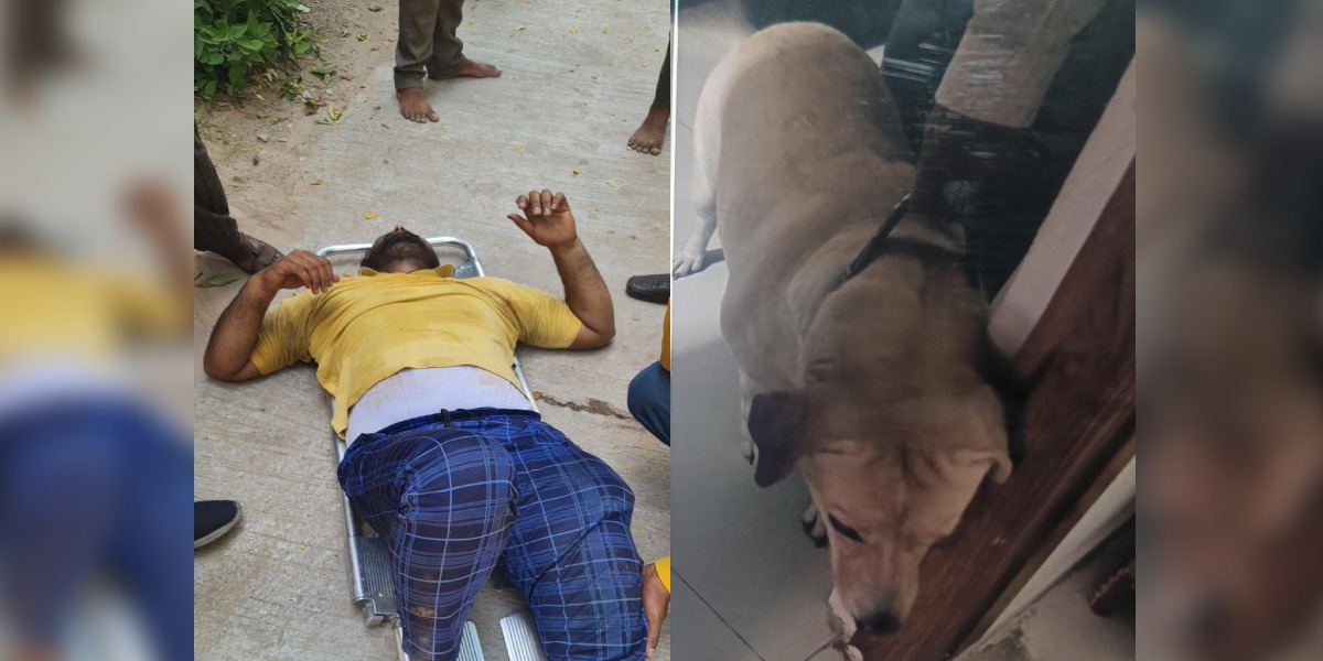 The victim was identified as 32-year-old Mohammad Illias. (Supplied)