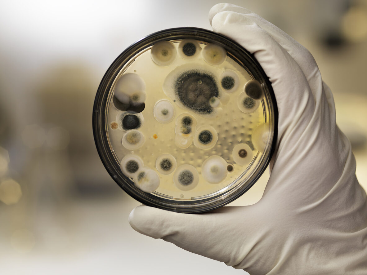 Chytridiomycosis has a new diagnosis