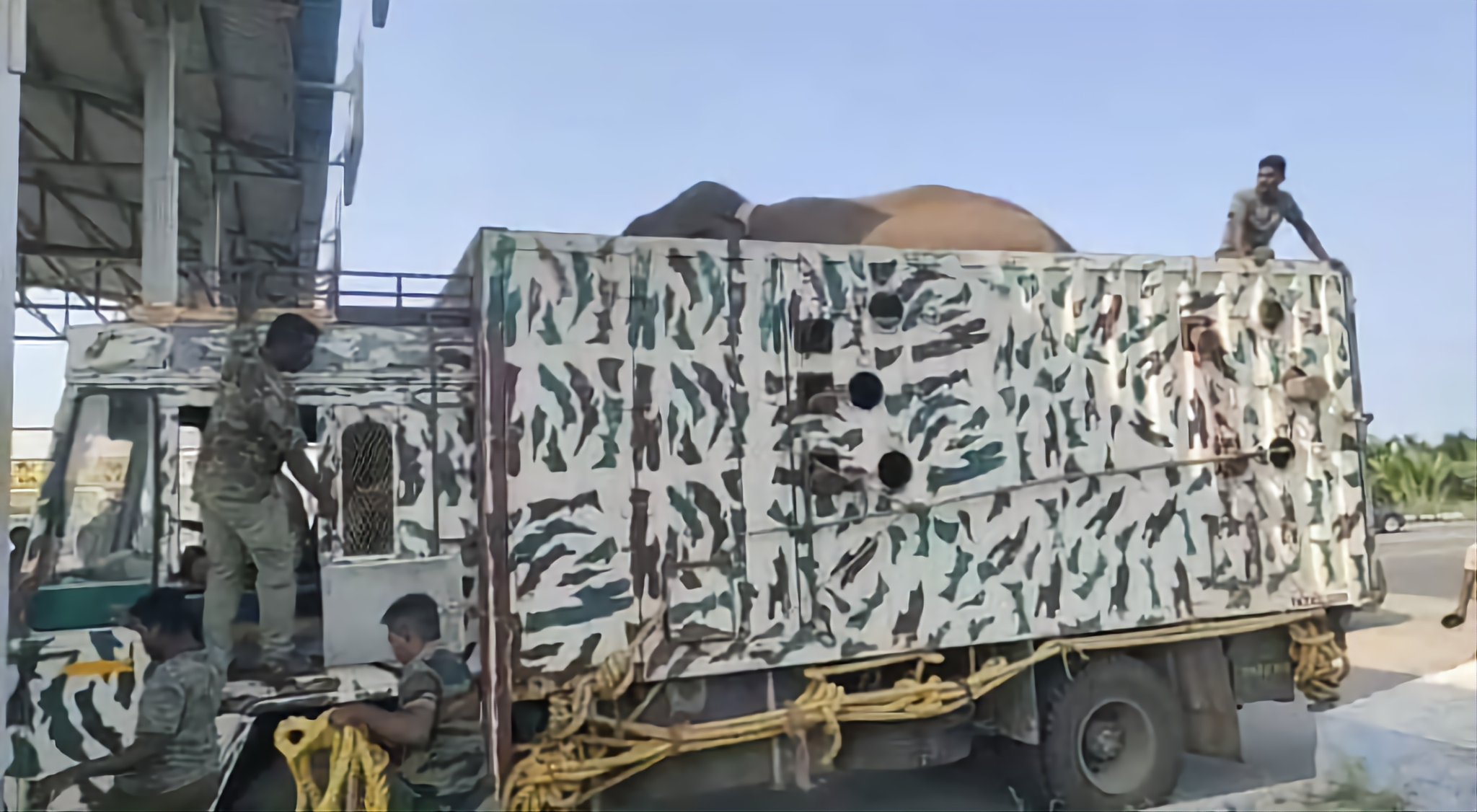 Arikomban captured again