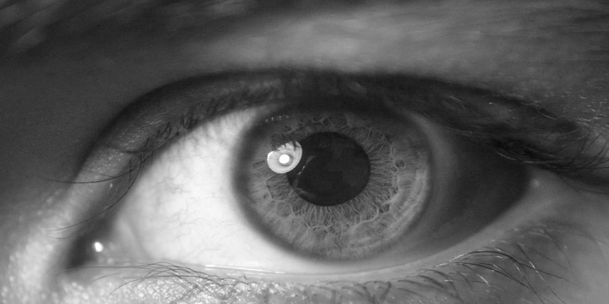 AI can transforming healthcare diagnosis and prediction Chasing the holy grail: How AI can transform diagnosis and intervention in healthcare