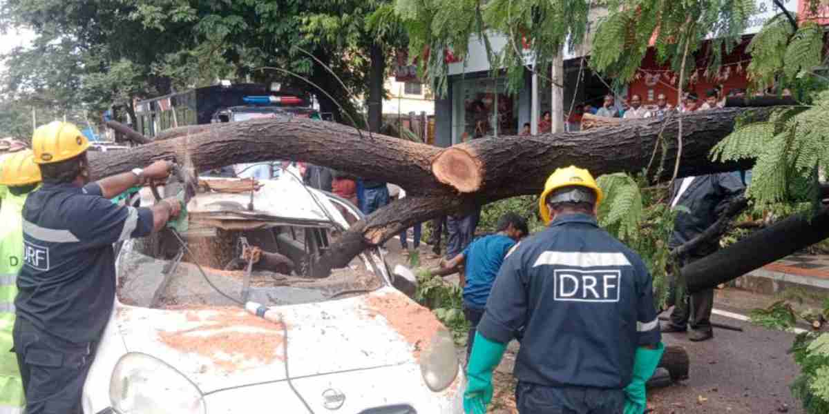 Telangana rains Telangana rains: Red alert for 4 districts as the state sees continuous rains for 4th day