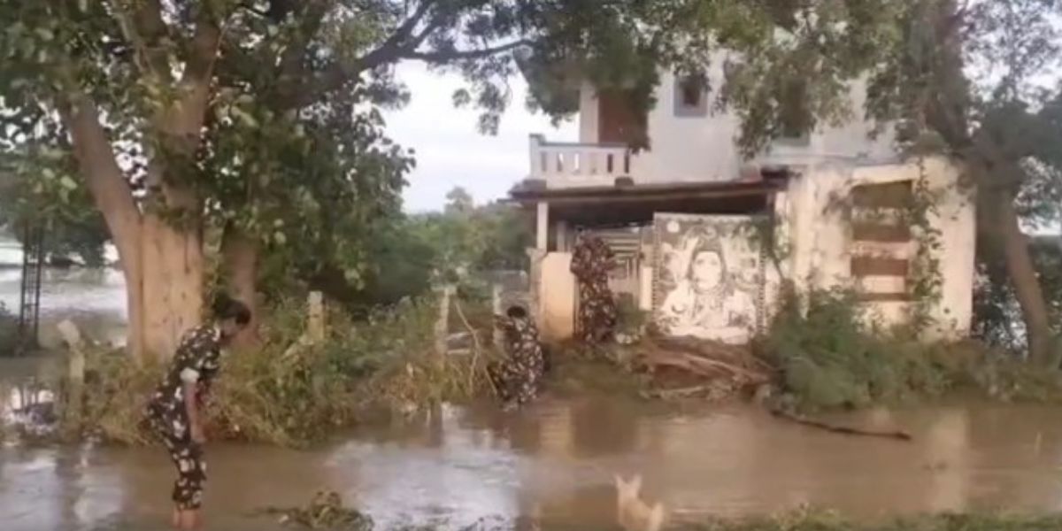 The police officers rescuing the puppies