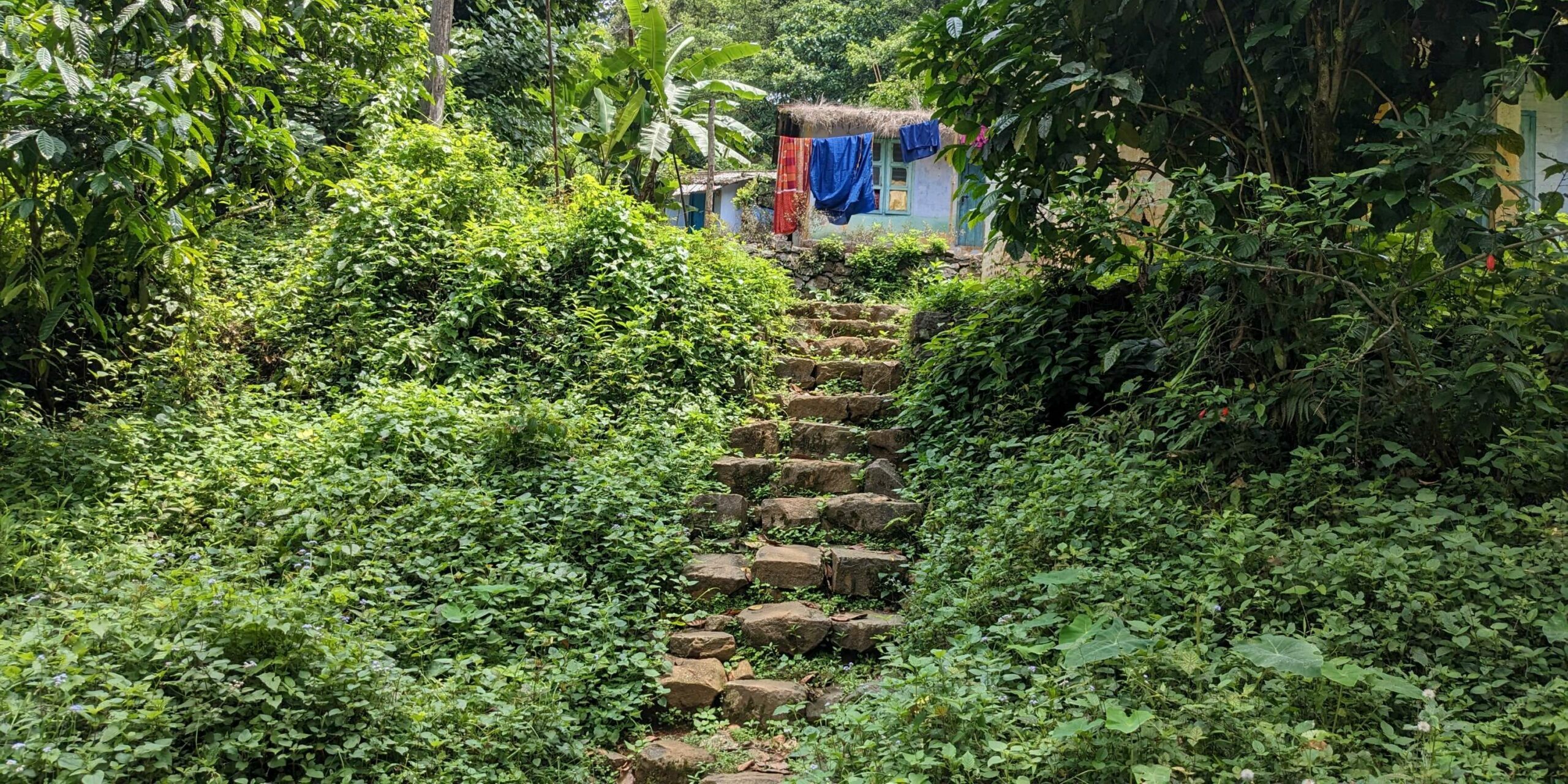 Gavi Gavi forest in Kerala
