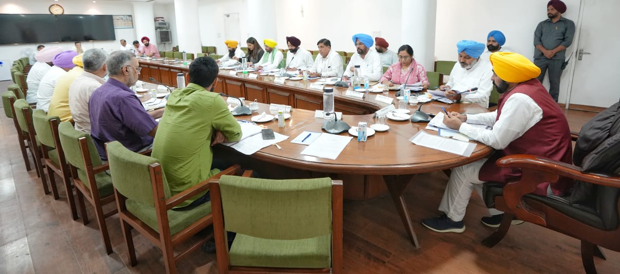 Punjab Cabinet meets to strategise on measures to bring road fatalities down. Punjab cabinet decision road safety force