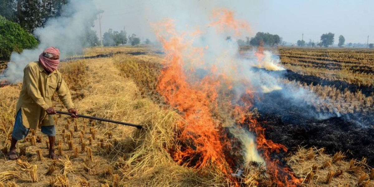 Stubble burning in Punjab. (Supplied) Stubble burning in Punjab
