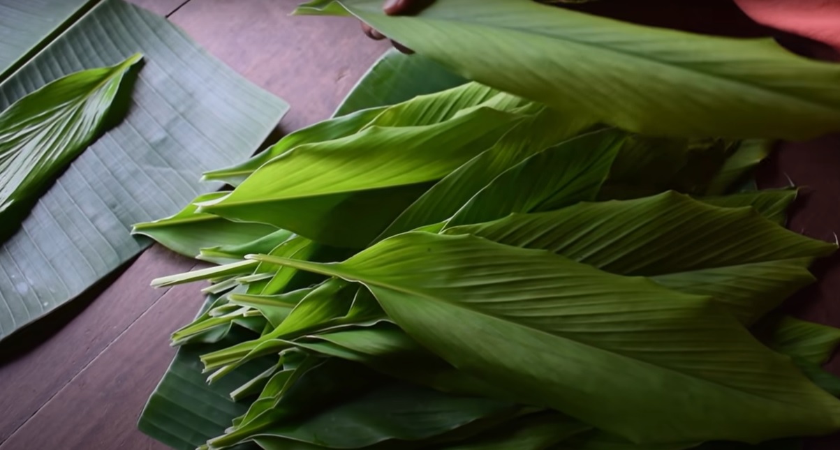 Turmeric leaves Turmeric leaves. (Supplied)