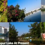 Neknampur lake post transformation