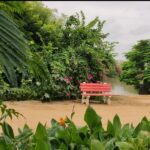 A bench installed for the visitors of the lake