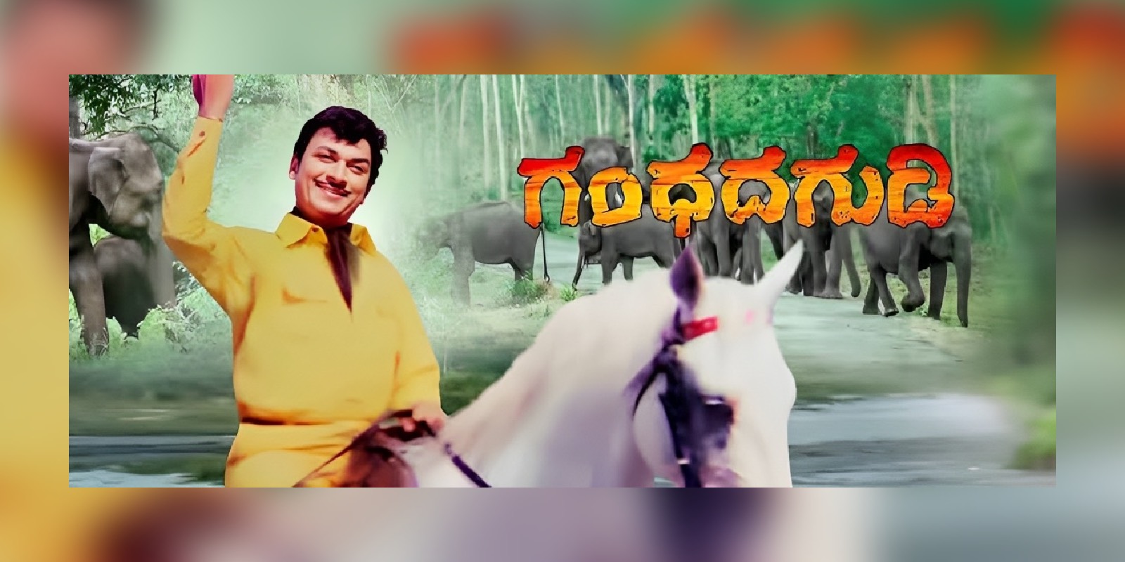 A poster of the film Gandhada Gudi