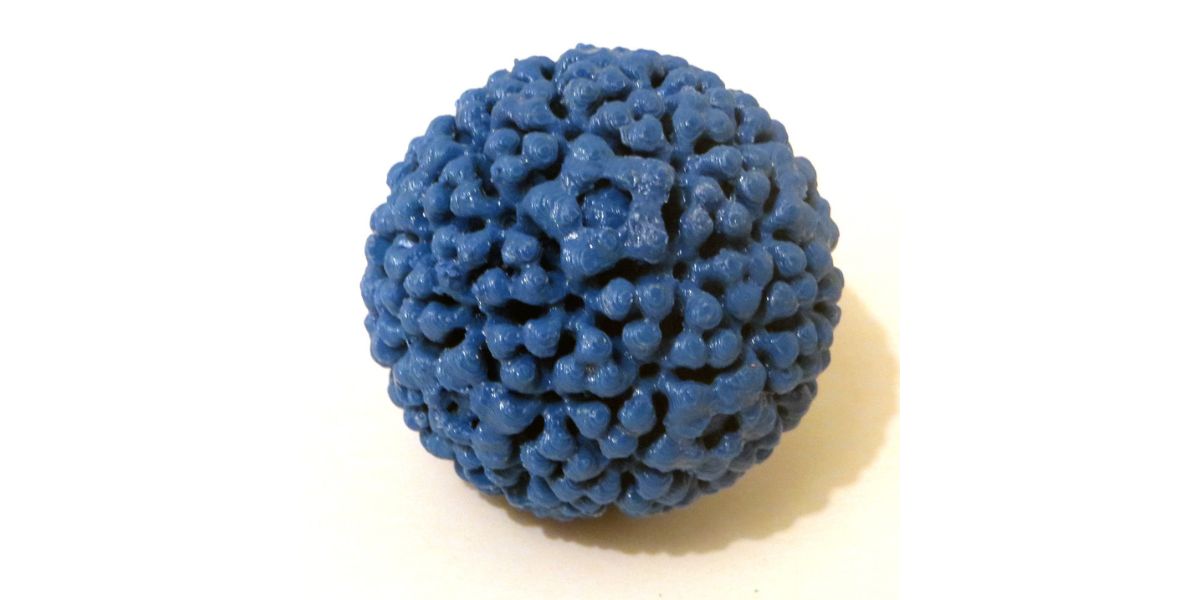 HP virus. Representational Image. (Creative Commons) HPV in men