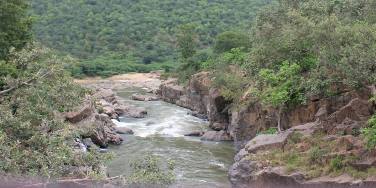 Sandalwood actors react to Cauvery river dispute Sandalwood actors react to Cauvery river dispute