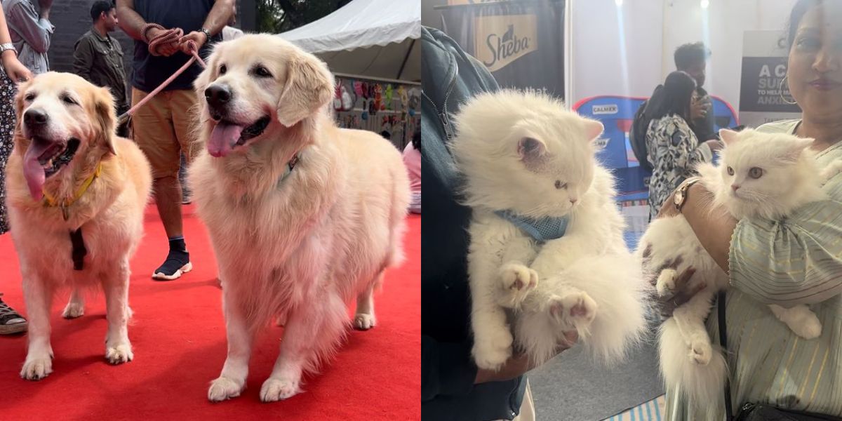 Petgala Bengaluru is touted to be India's largest pet show. (Fathima Ashraf/South First)