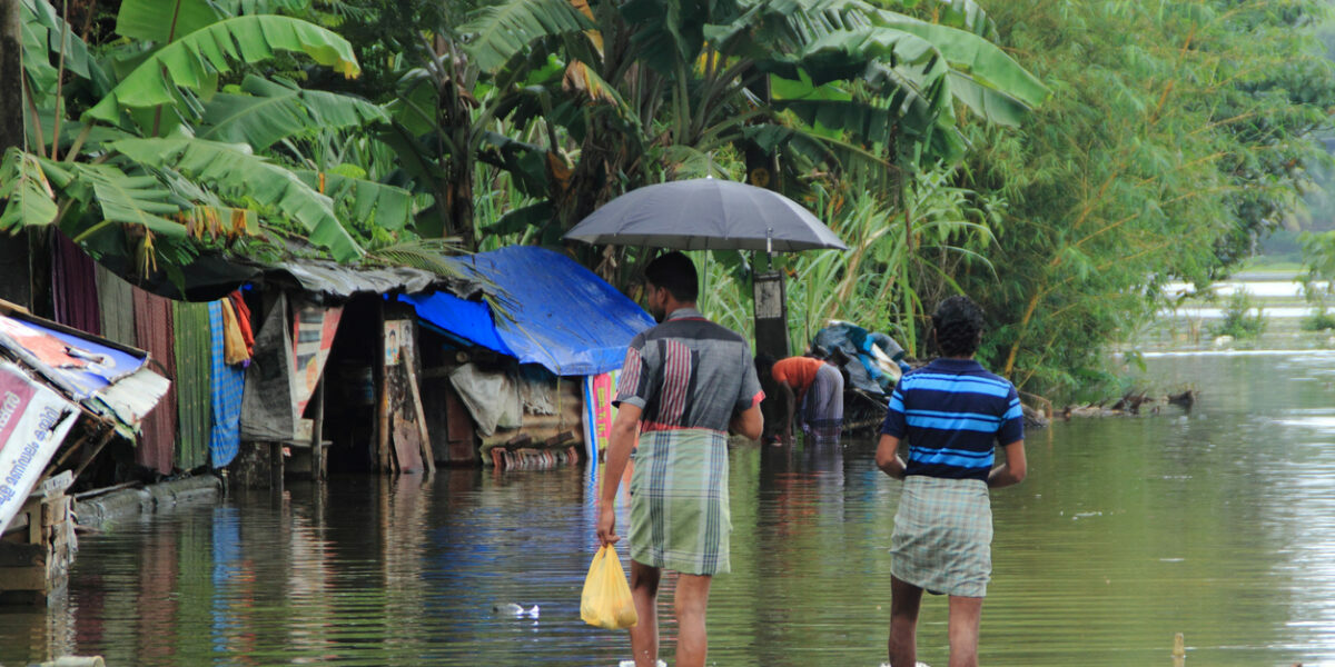 IMD forecasts a normal or above normal northeast monsoon. (iStock)