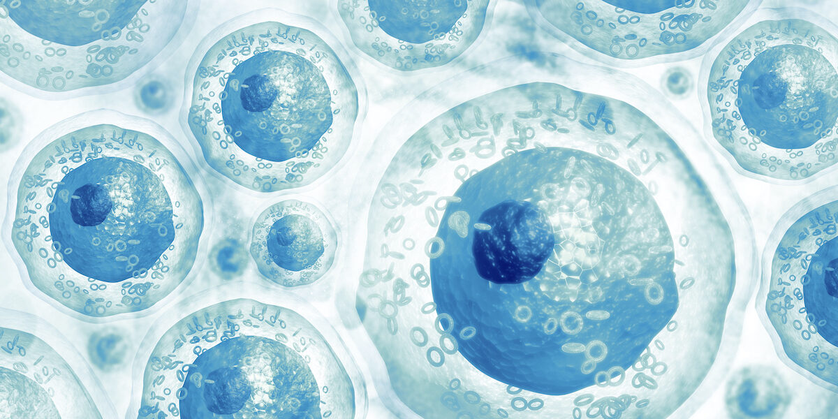 Centre of Excellence in Microbiome Science in Kerala