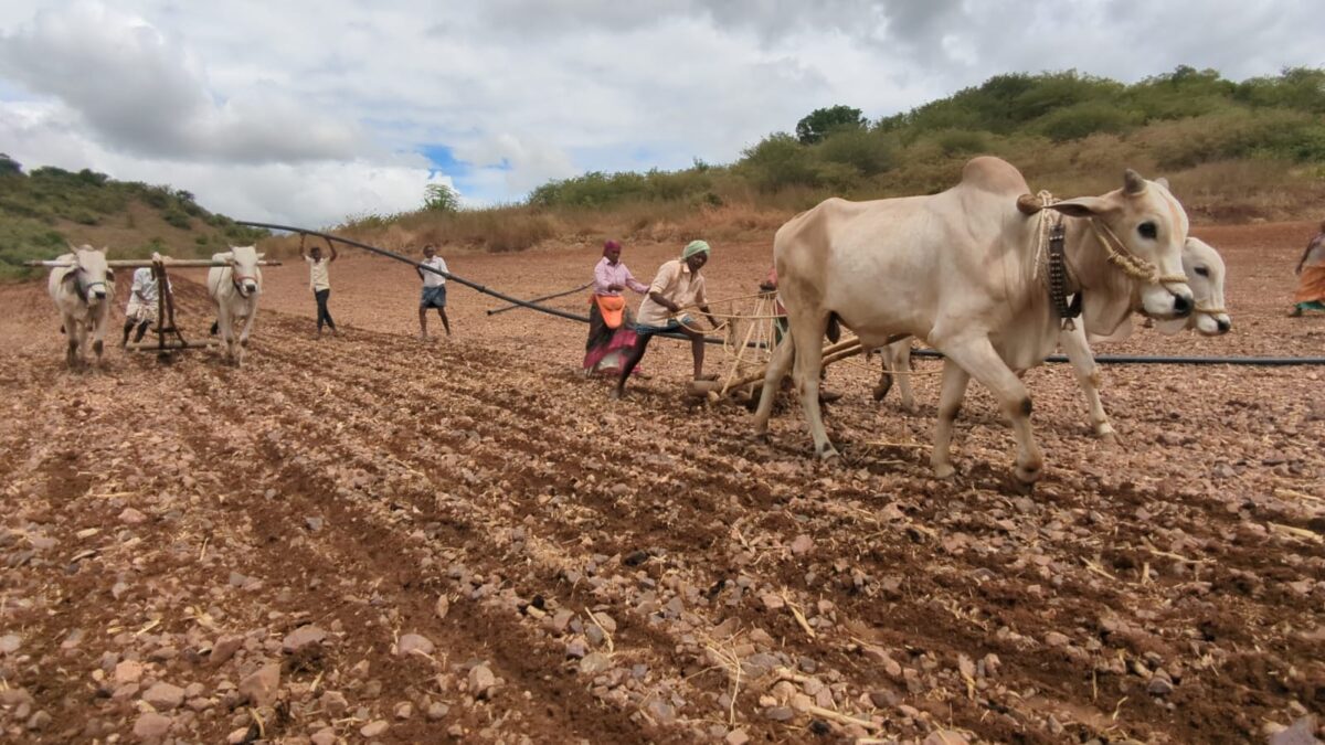 Kollapur Feature image Land beat aadhar seeding