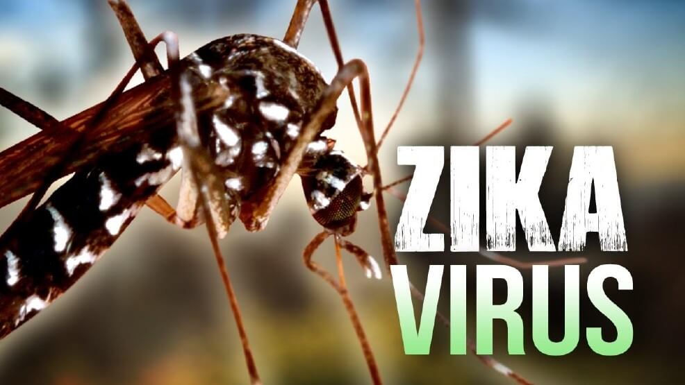 Zika-information-virus Zika virus, a vector-borne disease, was reported in several Indian states, including Telangana and Kerala. (Wikimedia Commons)