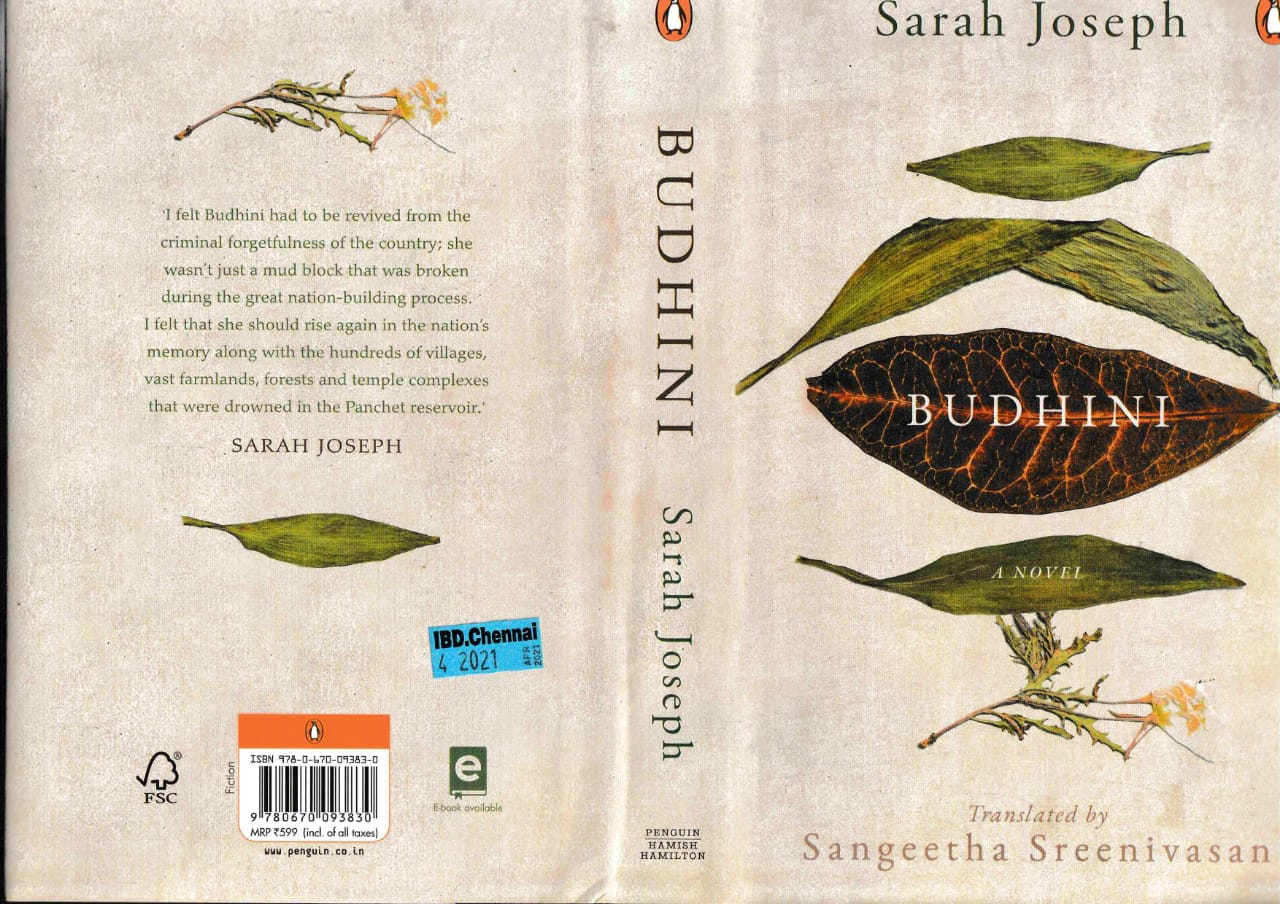 budhini Cover of English version of Budhini