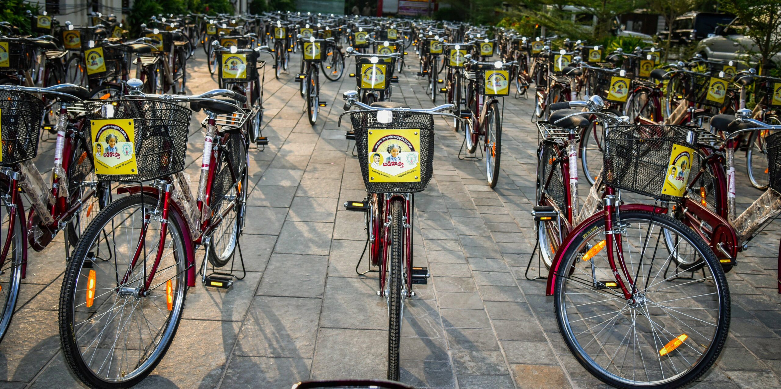 Samajwadi party and Telugu Desam party contending over Bi-cycle. Samajwadi party and Telugu Desam party contending over Bi-cycle. (Supplied X)