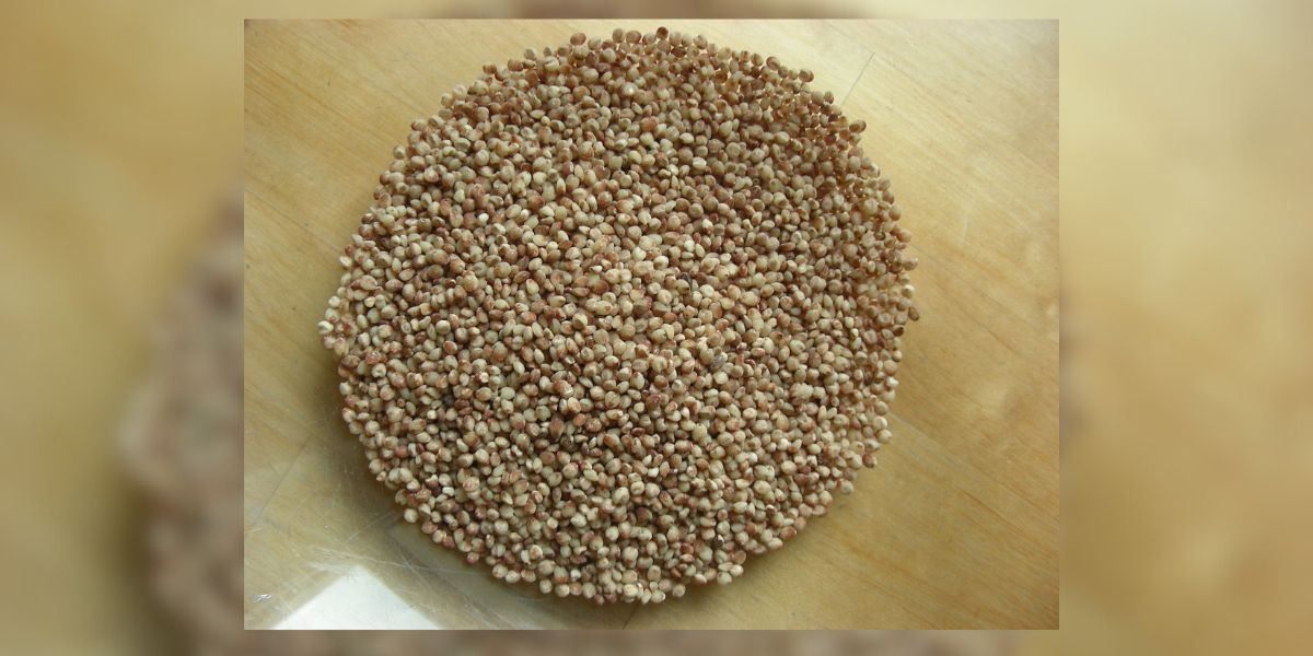 The International Year of Millets (IYM), propagates the cultivation and consumption of millets which was shunned over the last century.