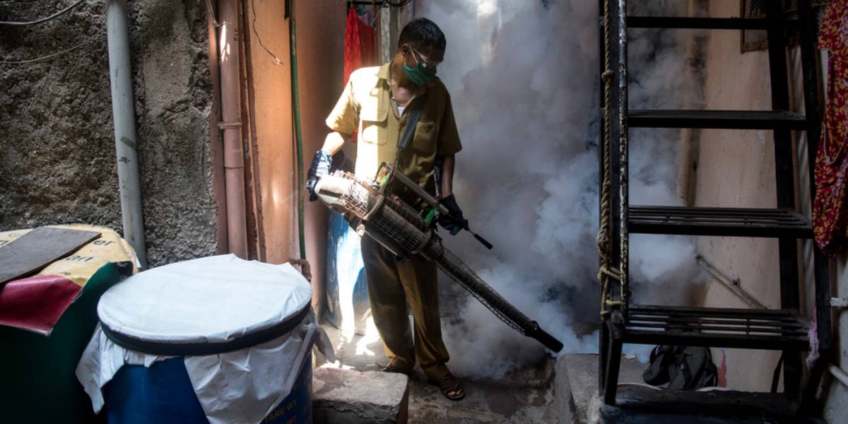 Dengue influenzas in south india Aedes mosquitoes, responsible for dengue transmission, are known for their aggressive day-biting behaviour and the ability to survive indoors for an extended period. (Shutterstock)