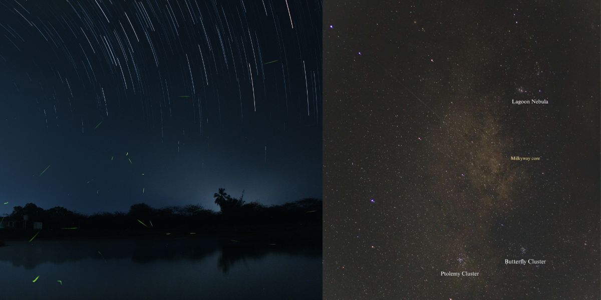 the campsite seamlessly blends nature and adventure with a 90-minute kayaking experience, twinkling stars, fireflies, and a mesmerising music show.