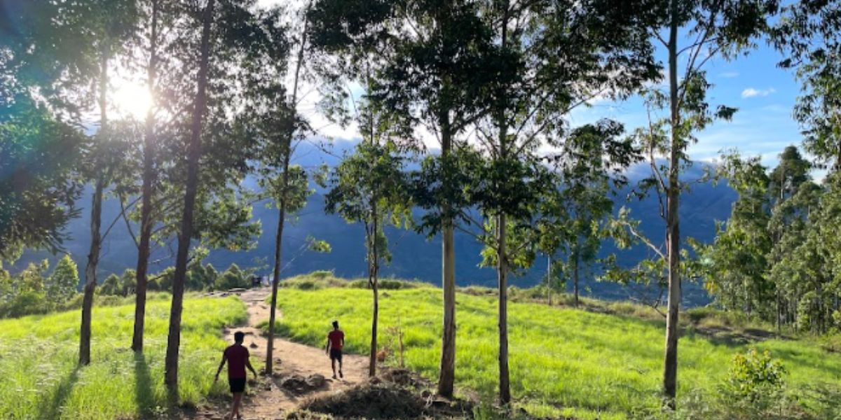 South India’s unique travel experience serves a kaleidoscope of landscapes, heritage, architecture and cultural delights. South India's unique travel experience serves a kaleidoscope of landscapes, heritage, architecture and cultural delights.