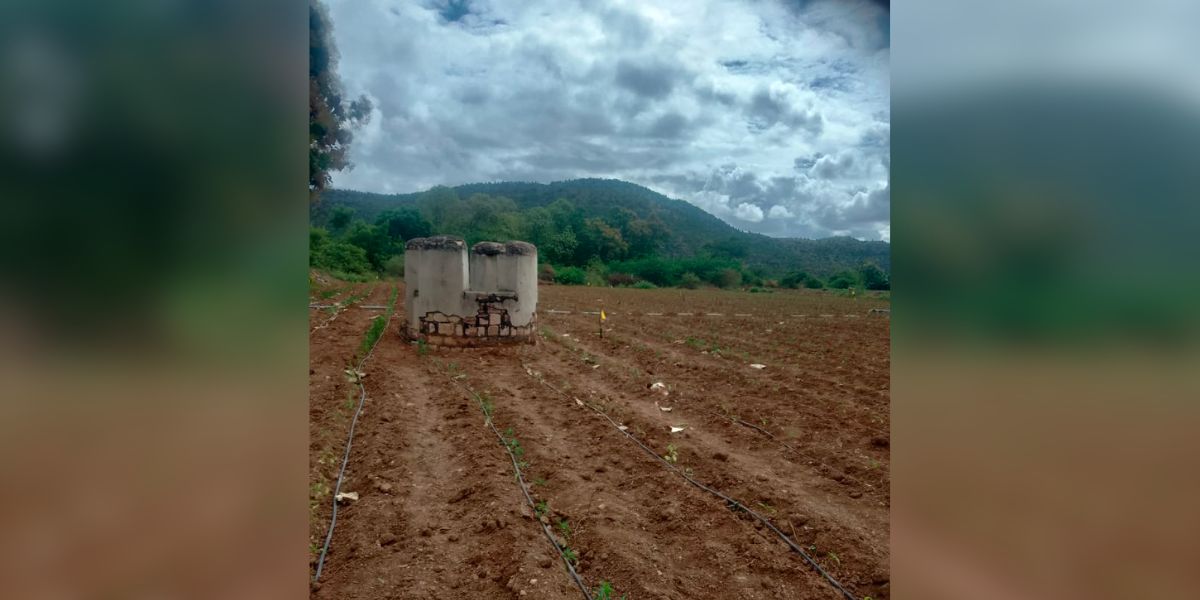 The burial ground allegedly converted to the mirchi farm. (Supplied) The burial ground allegedly converted to the mirchi farm. (Supplied)