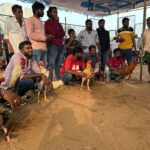 Scenes at the Kodi Pandelu