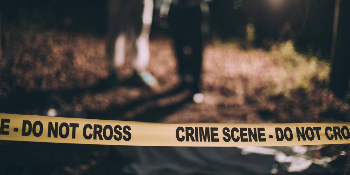 CEO kills 4 year old son ceo son karnataka goa murder