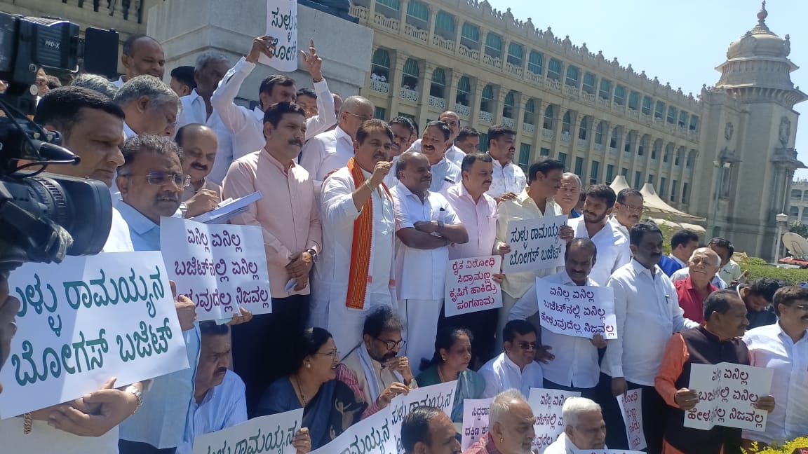 BJP Leaders create ruckus and stage walkout during the Budget presentation on Friday