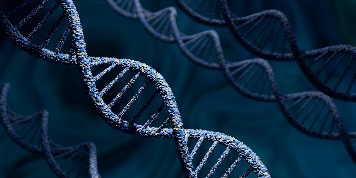 Representational image. (Creative Commons)