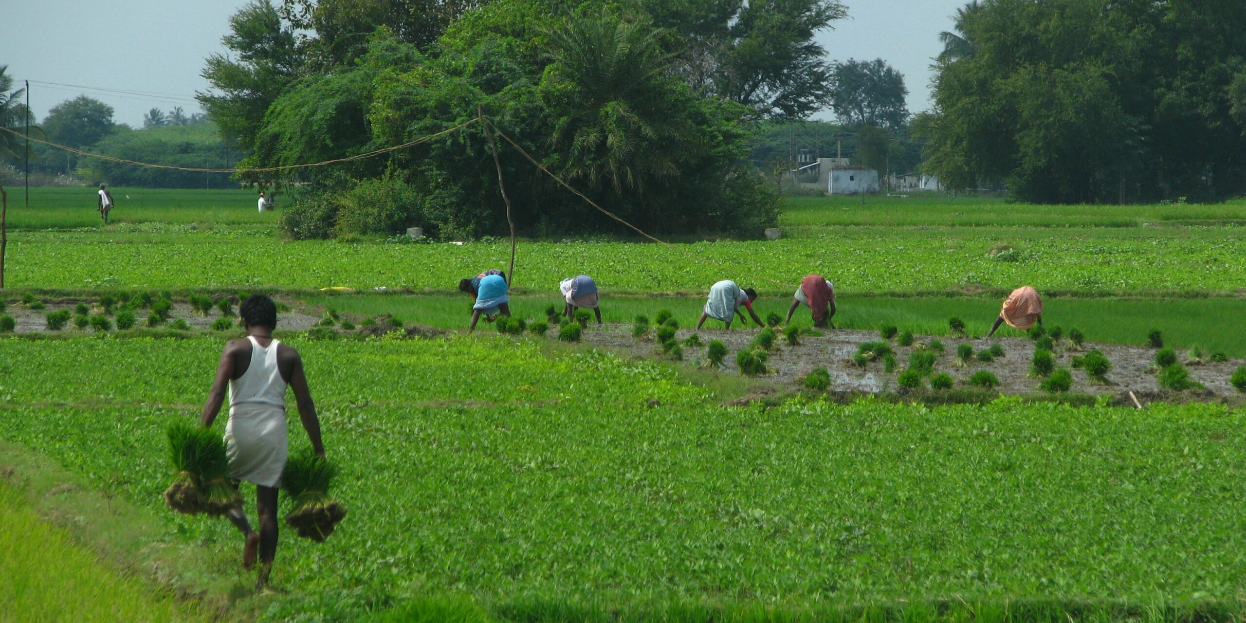 Karnataka Budget 2024: Bengaluru and beyond set for massive development surge