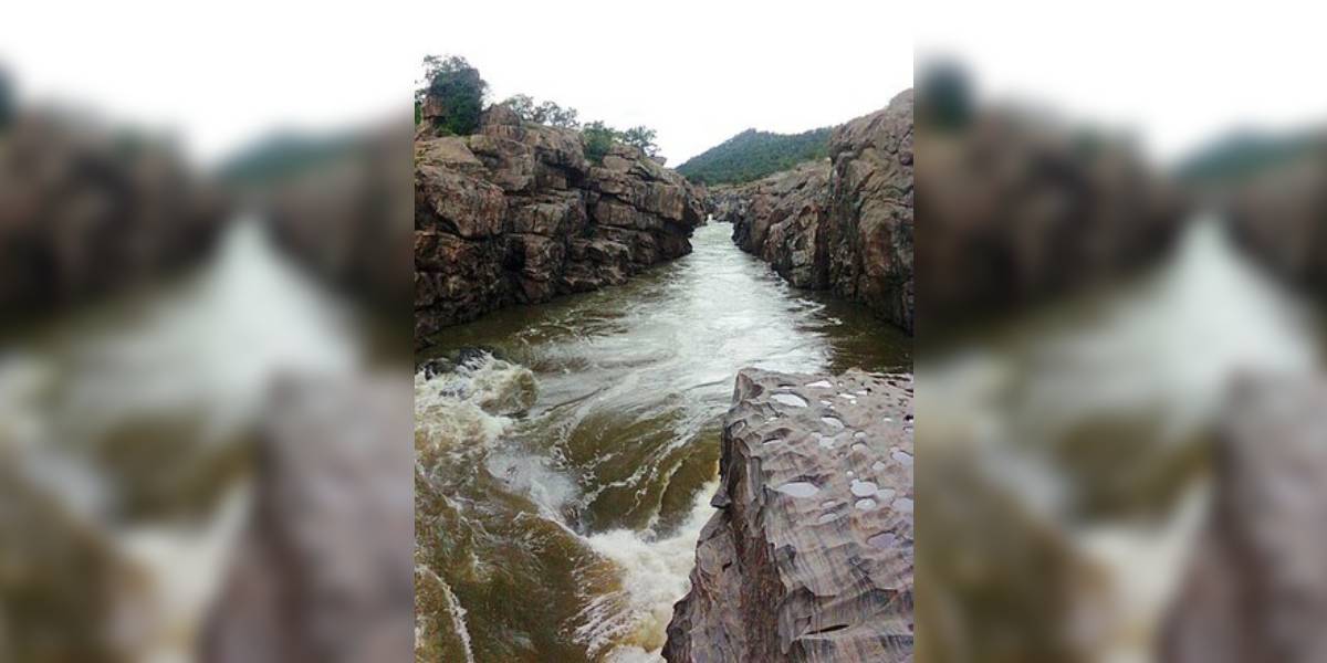 Mekedatu Tamil Nadu has raised concern over the frequent inclusion of Karnataka's proposal to construct a balancing reservoir across the Cauvery River at Mekedatu in the agenda of CWMA. (File pic/Wikimedia Commons)