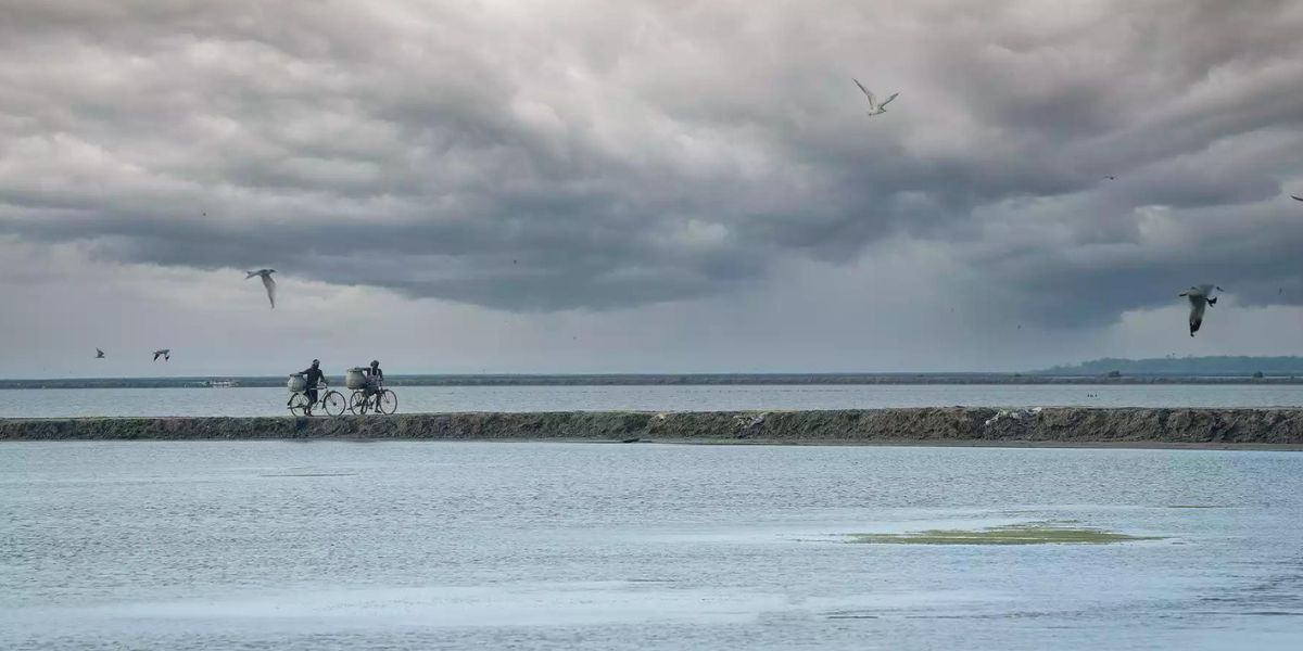 Tamil Nadu continues to be the state with the highest number of Ramsar sites (16) in India.