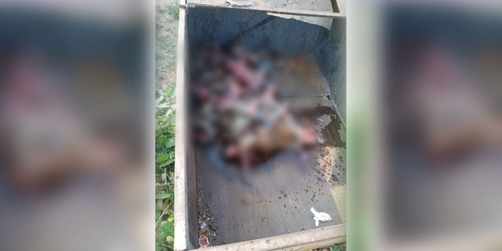 Monkey carcasses water tank