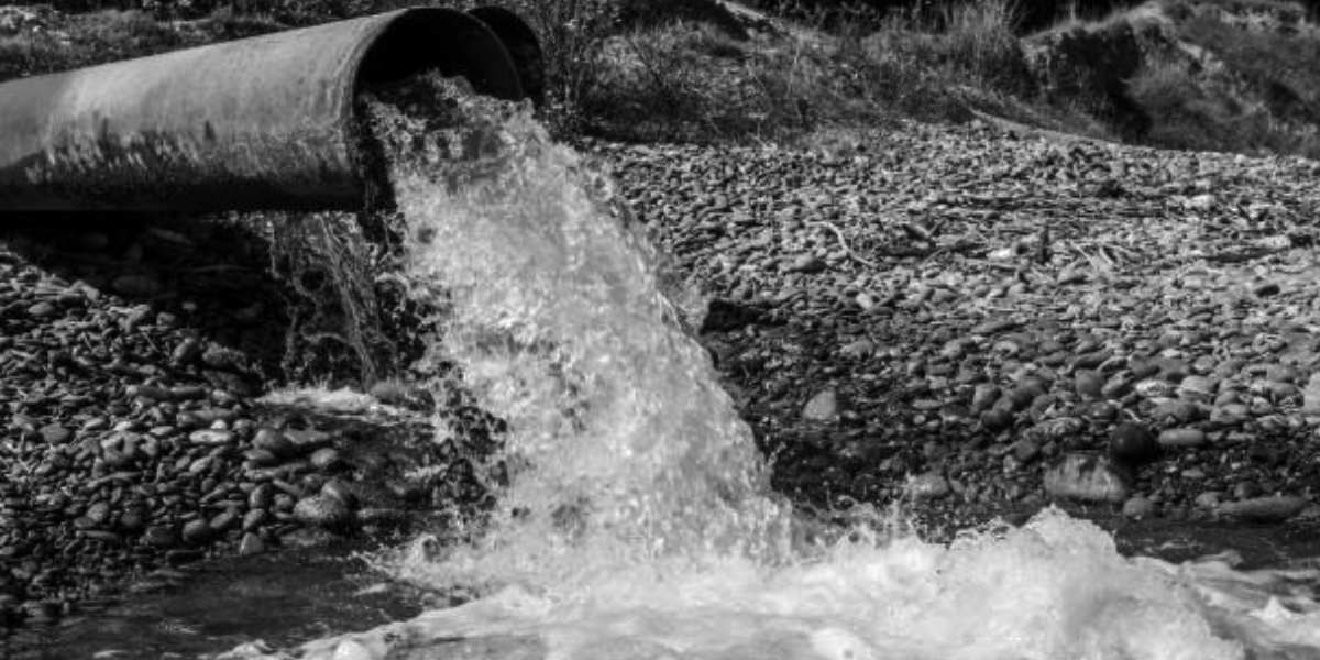 antimicrobial resistance hyderabad antimicrobial resistance hyderabad