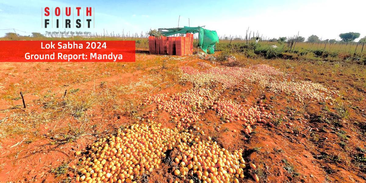 Karnataka Mandya 2024 Lok Sabha elections Karnataka Mandya 2024 Lok Sabha elections