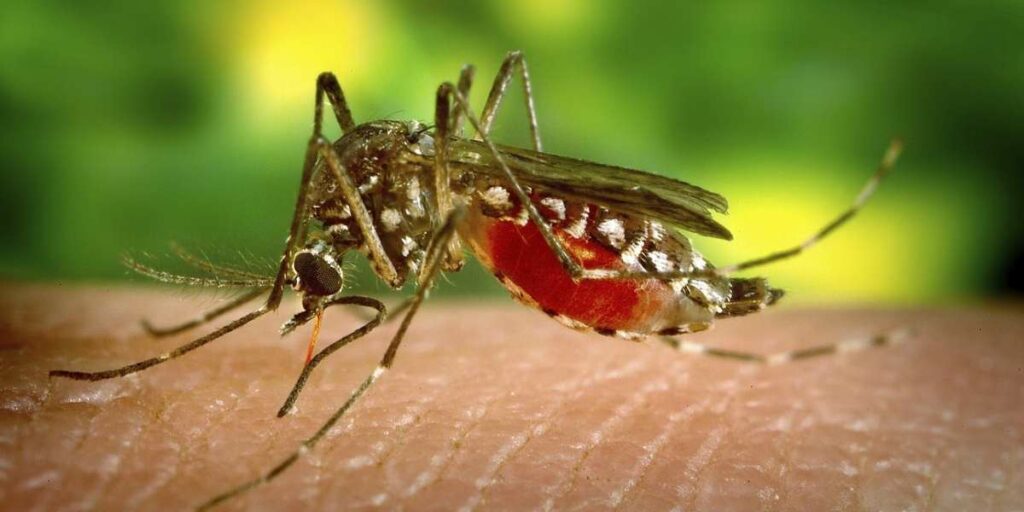 Nearly 3 in 10 test positive for West Nile antibodies. What does this mean for Keralam?