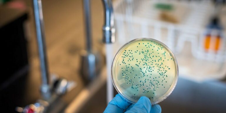 Coliform in drinking water