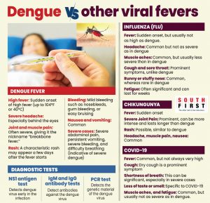 Dengue vs other viral infections.