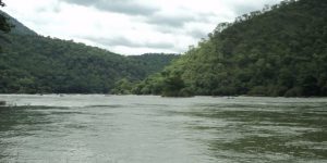 Karnataka bandh over Cauvery issue faces growing split as Kannada groups withdraw support