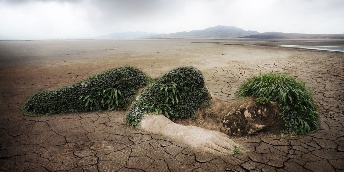 Climate change. Representational Image. Climate change. Representational Image.